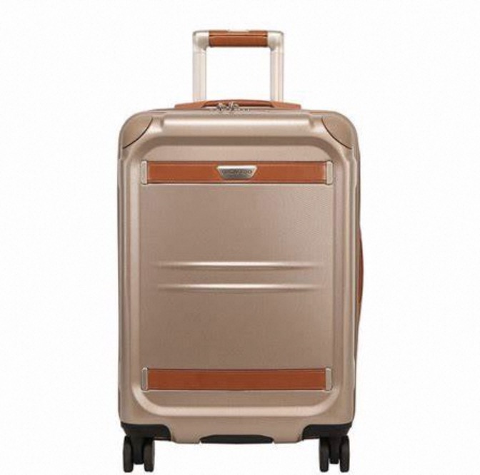 ricardo luggage